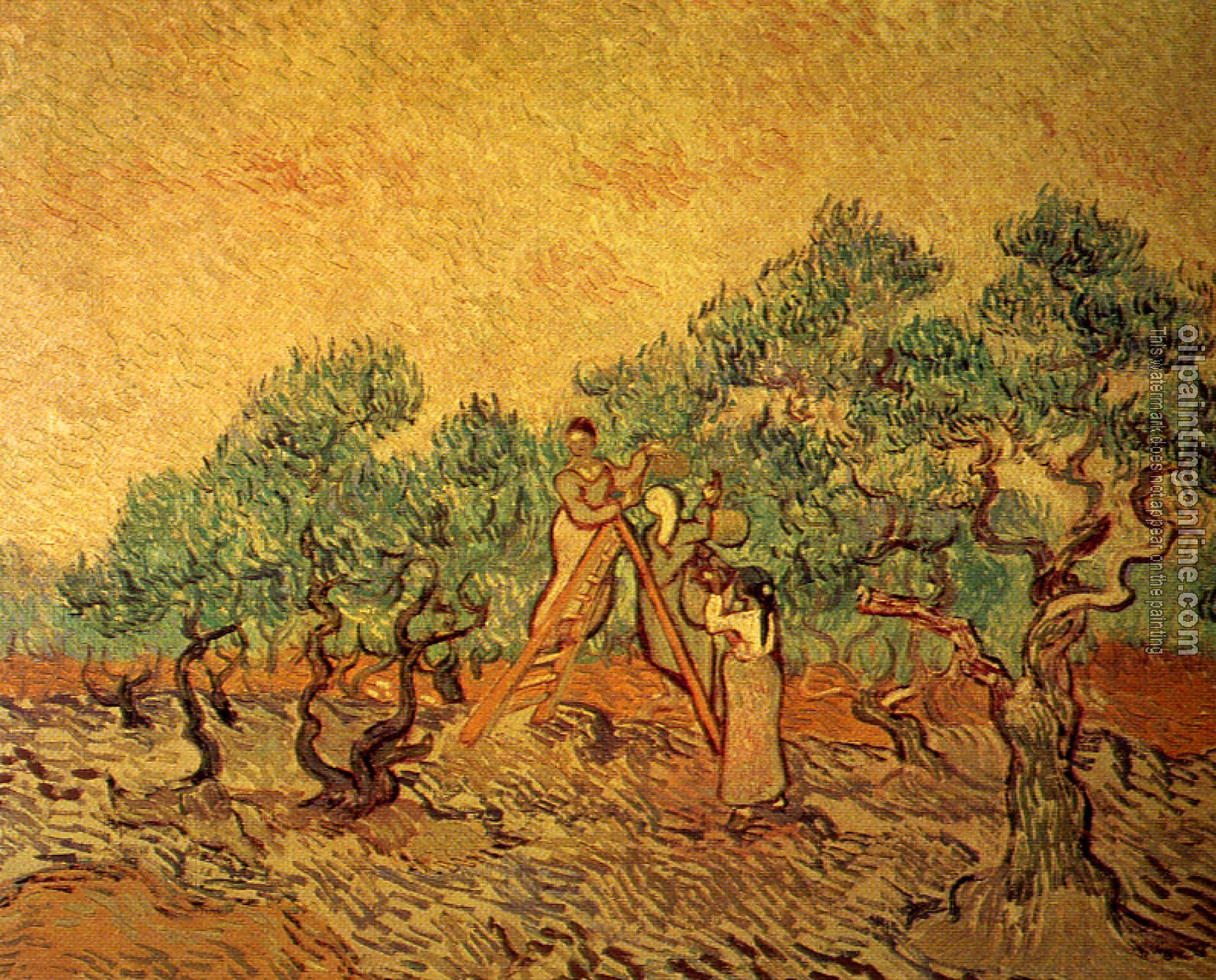 Gogh Vincent Van Women Picking Olives Canvas Painting For Sale